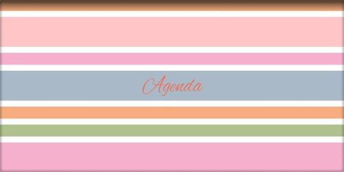 Zsebnaptár, fekvő elrendezésű, DAYLINER, Colors Stripes (NCZSST25)