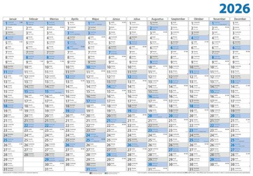 Plakátnaptár, éves, 98x68 cm, DAYLINER (NFAB1K5U)
