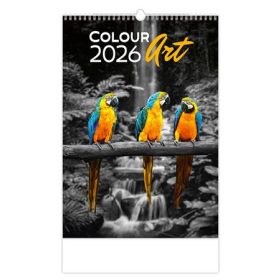 Naptár, fali, DAYLINER Colour Art (NFACAU)