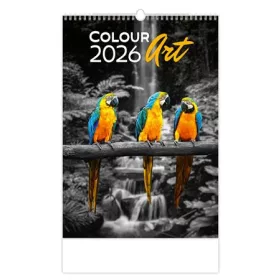 Naptár, fali, DAYLINER Colour Art (NFACAU)