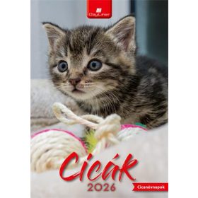 Naptár, fali, DAYLINER, Cicák (NFACIB4U)