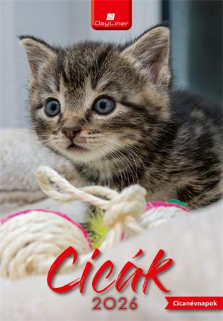 Naptár, fali, DAYLINER, Cicák (NFACIB4U)