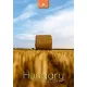 Naptár, fali, DAYLINER, Hungary (NFAHUB4U)