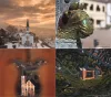 Naptár, fali, DAYLINER, Hungary (NFAHUB4U)