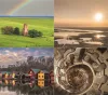 Naptár, fali, DAYLINER, Hungary (NFAHUB4U)