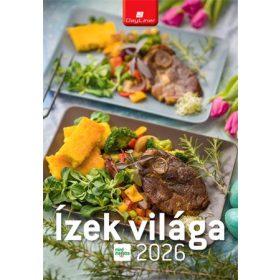   Naptár, fali, DAYLINER Ízek világa - Mindmegette (NFAIVMB4U)