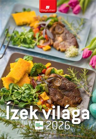 Naptár, fali, DAYLINER Ízek világa - Mindmegette (NFAIVMB4U)