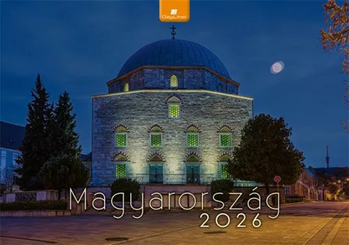 Naptár, fali, DAYLINER, Magyarország (NFAK202U)