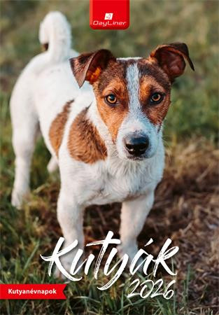 Naptár, fali, DAYLINER, Kutyák (NFAKUB4U)