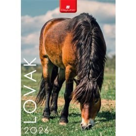 Naptár, fali, DAYLINER, Lovak (NFALOB4U)