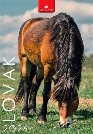Naptár, fali, DAYLINER, Lovak (NFALOB4U)