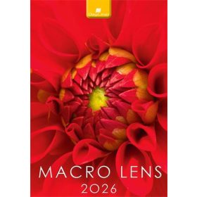 Naptár, fali, DAYLINER, Macro Lens (NFAMLB4U)