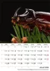 Naptár, fali, DAYLINER, Macro Lens (NFAMLB4U)