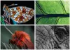 Naptár, fali, DAYLINER, Macro Lens (NFAMLB4U)