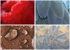 Naptár, fali, DAYLINER, Macro Lens (NFAMLB4U)
