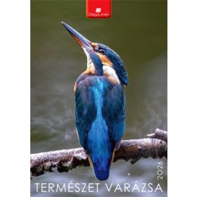 Naptár, fali, DAYLINER, Természet varázsa (NFATVB4U)