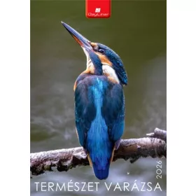 Naptár, fali, DAYLINER, Természet varázsa (NFATVB4U)