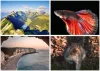 Naptár, fali, DAYLINER, Természet varázsa (NFATVB4U)