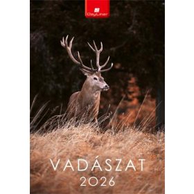 Naptár, fali, DAYLINER, Vadászat (NFAVAB4U)