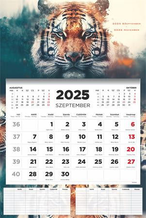 Naptár, fali, diák, 2025/2026 tanév, TOPTIMER, Tiger (NKD762025)