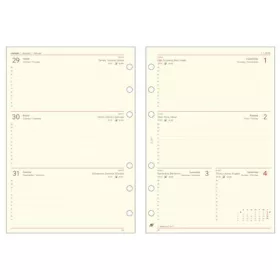   Kalendárium betét, tervező, heti, L, SATURNUS, chamois 2026 (NKL311U)