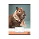 Füzet, tűzött, A5, kockás, 32 lap, OPTISCHOOL, 27-32,  Capybara (NKOP2732K)
