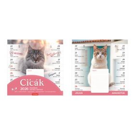   Naptár, fali, mágneses, kétheti, TOPTIMER, cicák (NKT090001U)