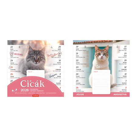 Naptár, fali, mágneses, kétheti, TOPTIMER, cicák (NKT090001U)