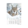 Naptár, fali, TOPTIMER Vadállatok (NKT09408U)