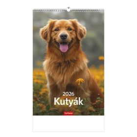Naptár, fali, TOPTIMER Kutyák (NKT09410U)