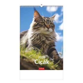 Naptár, fali, TOPTIMER, Cicák (NKT09411U)