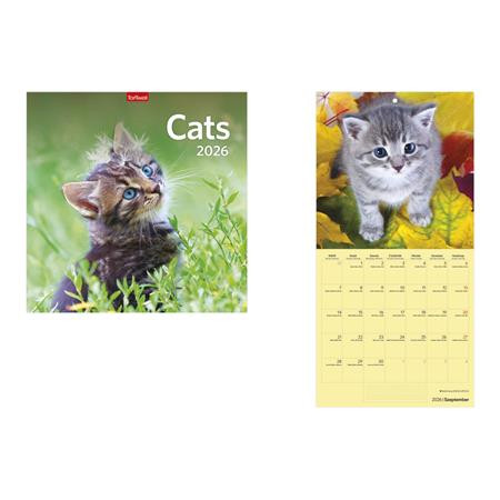 Naptár, fali, TOPTIMER, Cats (NKT09802U)