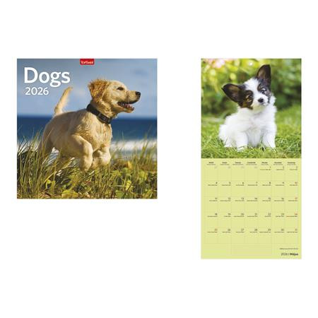 Naptár, fali, TOPTIMER, Dogs (NKT09806U)