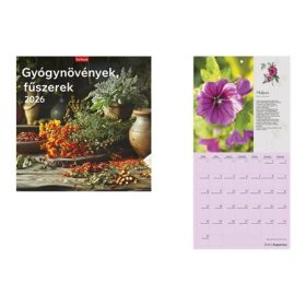  Naptár, fali, TOPTIMER, Gyógynövények, fűszerek (NKT09816U)