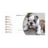 Naptár, asztali, álló, TOPTIMER, Kutyák (NKT581PU)
