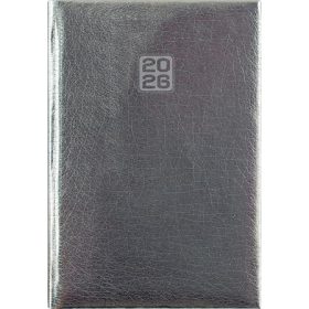   Naptár, tervező, B6, heti, DAYLINER, Mirror, ezüst (NMHB6EU)
