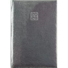   Naptár, tervező, B6, heti, DAYLINER, Mirror, ezüst (NMHB6EU)