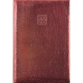  Naptár, tervező, A5, heti, DAYLINER, Mirror, bronz (NMHBRU)