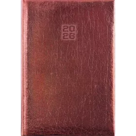   Naptár, tervező, A5, heti, DAYLINER, Mirror, bronz (NMHBRU)