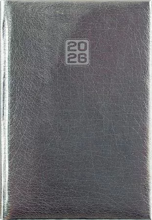 Naptár, tervező, A5, heti, DAYLINER, Mirror, ezüst (NMHEU)