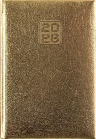Naptár, tervező, A5, napi, DAYLINER, Mirror, arany (NMNAU)