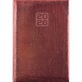   Naptár, tervező, A5, napi, DAYLINER, Mirror, bronz (NMNBRU)