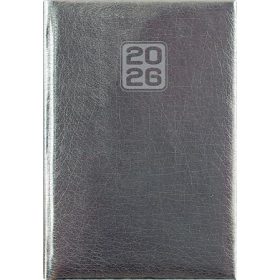   Naptár, tervező, A5, napi, DAYLINER, Mirror, ezüst (NMNEU)