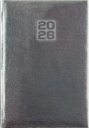 Naptár, tervező, A5, napi, DAYLINER, Mirror, ezüst (NMNEU)