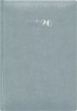 Naptár, tervező, A5, napi, DAYLINER, Pellana, szürke (NPEA5SZU)