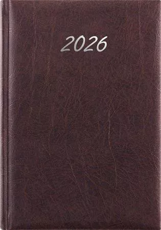 Naptár, tervező, A5, napi, DAYLINER, Rebel, antracit (NRA5ANU)