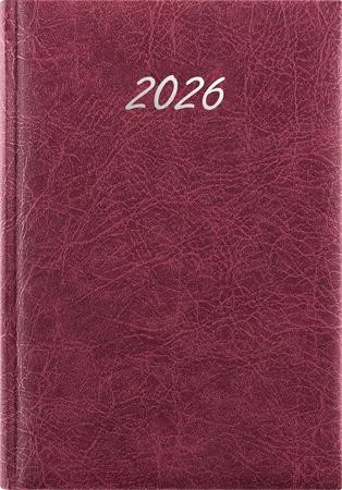 Naptár, tervező, A5, napi, DAYLINER, Rebel, bordó (NRA5BOU)