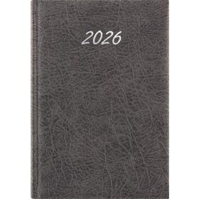  Naptár, tervező, A5, napi, DAYLINER, Rebel, szürke (NRA5SZU)