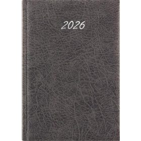   Naptár, tervező, B5, heti, DAYLINER, Rebel, szürke (NRB5SZU)