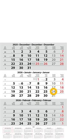 Naptár, speditőr, három hónapos, egy tömbös, üres fejrész, DAYLINER (NSPED1FU10U)